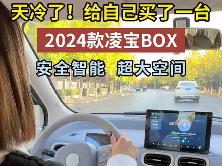 24款凌宝BOX,超大空间,安全智能#凌宝汽车 #性价比高的新能源车推荐