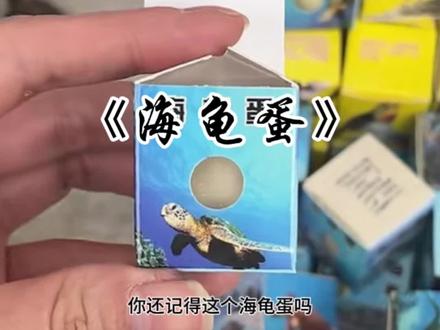 你还记得这个海龟蛋当时多少钱吗?#海龟蛋