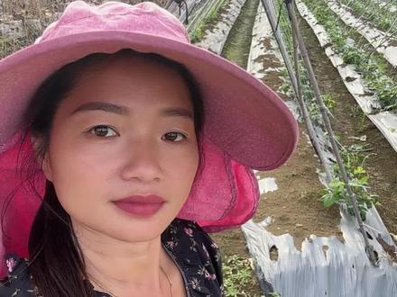 人字竹棚,平棚,拱棚,各有各的优势。