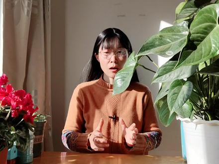 红掌叶子不油亮,用这种水擦擦,效果很明显