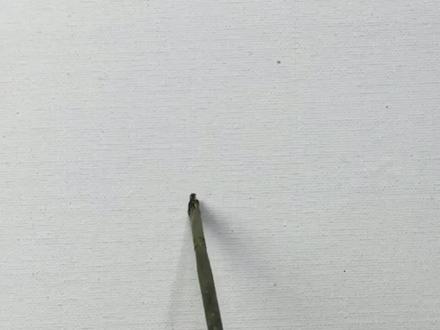 绘画基础-【树的画法】丙烯画油画树的简单画法