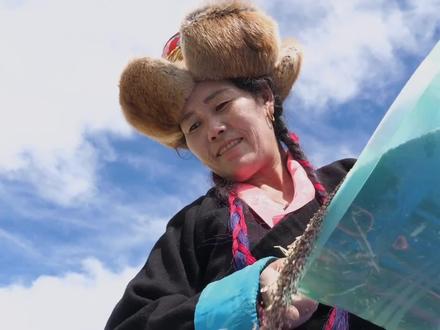 青稞玉米等粗粮,臧鸡吃得可真讲究!