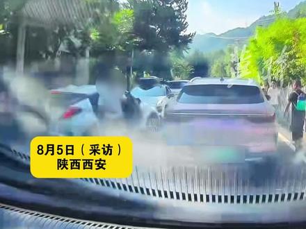 景区外男子开车逆行加塞,甚至下车“人肉”挡在车前,后车车主:态度极其嚣张 “返程票都退了,一定要讨个说法”(感谢@丶大河马 分享)#插队 #文明出行