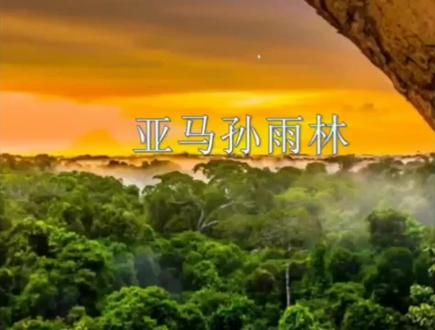 亚马孙雨林制造了全世界1/3的氧气,每年固碳上千亿吨,是地球之肺,生物基因宝库。随着人类的破坏,它在快速消失。