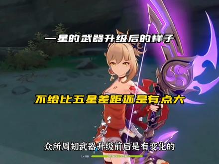 你看过一星的武器升级后的样子?