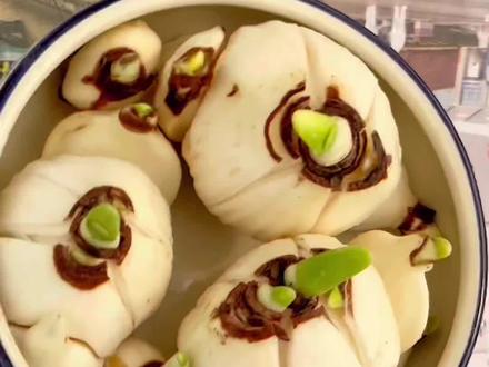 漳州水仙花水培步骤教程
视频有点长,保姆级教程,不要嫌我啰嗦
#漳州水仙花 #水培植物 #自家种植 #水仙花水培方法 #水仙花水培