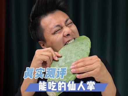 能吃的仙人掌你见过没?#真实测评 #好物测评