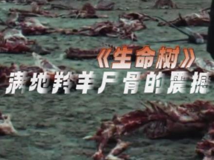 比剧情更震撼的是真实故事改编,可真实故事却残忍的让人失语#生命树 #追剧不能停 #野生动物 #青海