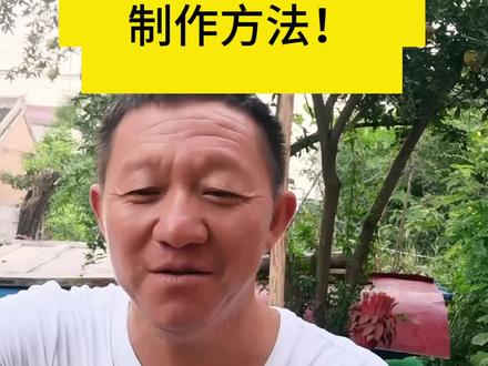 你们平时想吃的红薯叶馍是这样做的,看完你就学会了#创作灵感 #新农人计划2023 #乡村振兴 #三农 #生活小常识