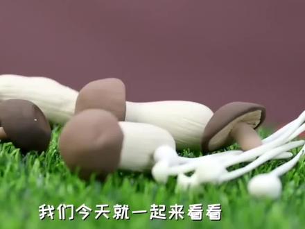 超轻粘土教程-菌菇大拼盘#粘土 #手工 #圣诞节 #亲子手工 @抖音小助手