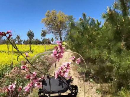 共兴村后面⬆️木藤寨,纯越野线路,适合越野车和爱好越野摩友的刺激线路,新手请勿前往。在山顶可以近距离观赏四方台,山顶的风景你值得拥有💪💪💪#来抖音玩户外 #爱机车爱生活 #最美的风景在路上 #机车 #爱越野爱生活