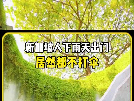 新加坡人下雨天出门,居然都不打伞#旅游攻略 #新加坡旅游 #新加坡 #带她去旅行 #旅游