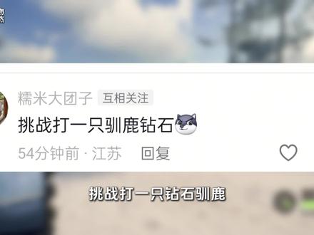 钻石恒久远,我也打的很久远 #猎人荒野的召唤 #猎人 #游戏日常