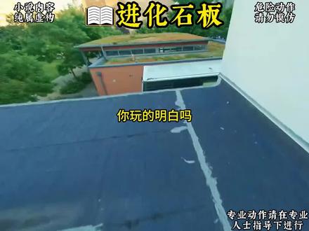 进化石板第28集 "小说推荐 "宝可梦 "宝可梦大集结