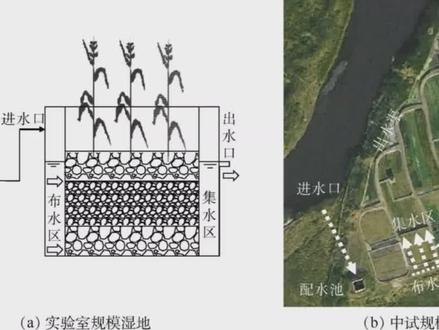 垂直潜流湿地 #农村小型人工湿地 #人工湿地多少钱 @水生态环境修复