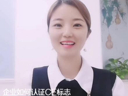 企业如何认证CE标志 欧盟CE认证 机械认证,电子产品认证 专业服务 认证高效 无线产品CE