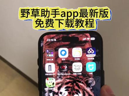 《吉鑫大全》野草助手app最新版本苹果安卓下载教程来了#野草助手 #野草助手口令 #野草助手怎么下载 #野草助手下载教程 #电视投屏
