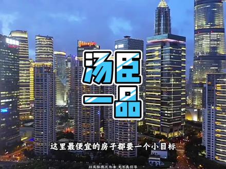 一套房一个小目标,这就是上海顶流小区#汤臣一品 #豪车