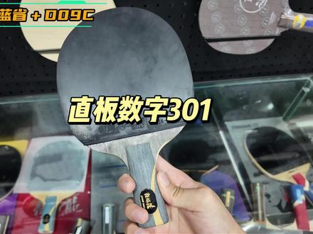 锐评数字301:大部分业余未达到使用条件!(个人观点)