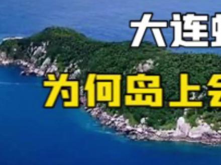 第1集|大连蛇岛是怎么形成的,为何会有2万多条毒蛇?#纪录片 #科普 #未解之谜 #奇闻奇事 #下集更精彩