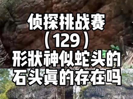 侦探挑战赛(129),形状神似蛇头的石头,真的存在吗? #侦探挑战赛 #地球百科君 #地理 #泰国