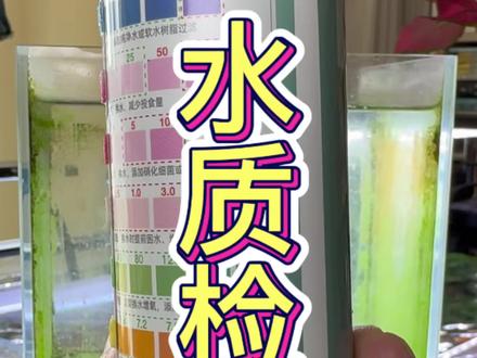 养鱼出现问题多数水质不好,定期检查一下…#水族用品#养鱼经验分享 #鱼缸死鱼怎么办