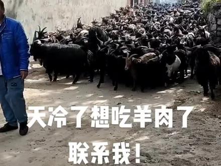 河南省鹤壁市淇滨区大河涧乡谭峪村