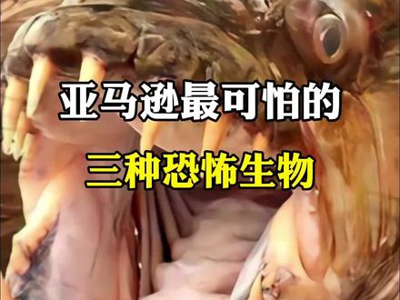 亚马逊雨林到底有多可怕?为什么被称为人类的禁区?#科普#动物#亚马逊雨林@DOU+小助手