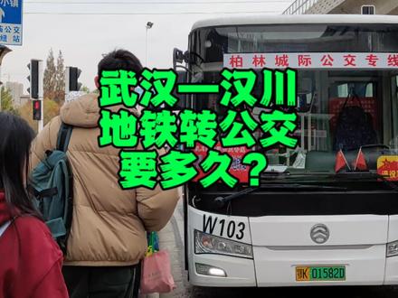 武汉东一环去汉川城区坐地铁转公交要多久? 8号线徐东上车,岳家嘴换乘4号线坐到终点柏林站,地铁共计31站,出站转乘W103路公交#武汉地铁 #汉川柏林公交