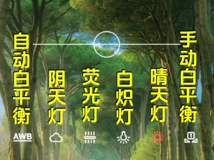 手机的专业模式你知道怎么用吗?建议收藏学习 #手机摄影#拍摄技巧#手机专业模式#专业模式教程#摄影
