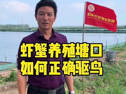 虾蟹养殖塘口,最简单的驱鸟方法#水产养殖 #螃蟹养殖 #陈春永虾蟹养殖
