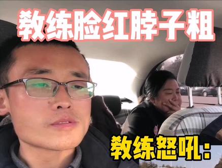 学员科三模拟考试,遇狗挡道导致停车熄火,教练怒批:好狗不挡道