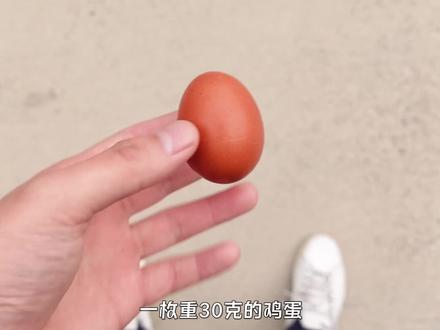 高空抛物非死即伤,但从万米落下的雨滴,为何不会把人砸死? #知识 #科普 #科学 #物理 #下雨 #雨滴