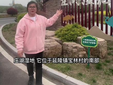 延陵镇庄湖湿地公园,又一宝藏 小众打卡之地#庄湖湿地公园 #美丽乡村 #我为家乡代言