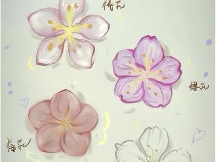 区别五种小花#简笔画 #一起学画画 #每日一画