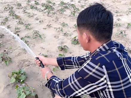 塘主想装修院子,让我来看看顺便帮他画个图纸😀是吧@孟塘主