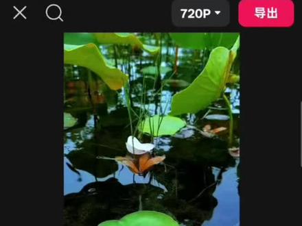 “画中画的三种用法”零基础剪辑 #真实生活分享计划 #剪辑 #剪映教程 #剪辑教程 #画中画