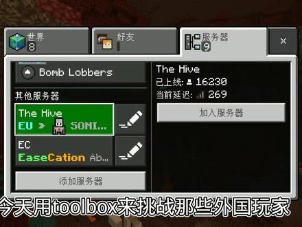 我的世界:用Toolbox玩游服务器,还能用解锁的高级功能!
