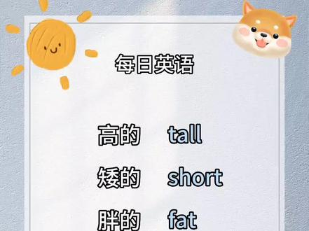 高矮胖瘦的英语读音#零基础英语 #零基础单词跟读 #实用英语 #日常英语