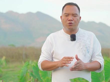 芋头重茬是芋头芋头的一大难关!#关注我每天分享知识 #芋头种植 #三农种植 #种植小技巧 #农技知识分享 @抖音小助手