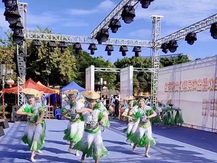 #起原烟盒舞,红河州歌舞团演出的彝族舞蹈《插秧舞》