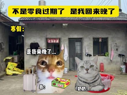 原来不是零食过期了,是我回来晚了。。 #小村庄月弯弯 #猫meme小剧场 #奶奶 #有刀