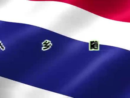 各国人民都入乡随俗跪拜泰王,为何偏偏中国人站的笔直?#识货种草官#外国人看中国