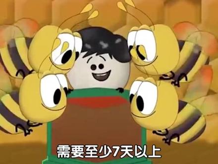 蜂蜜是蜜蜂拉出来的吗,今天带你来揭秘#蜂蜜 #知识科普 #科普一下