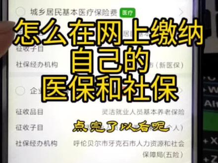 怎么在网上缴自己的医保和社保。