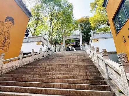 苏州天下第一财神殿位于江苏省苏州市吴中区金庭镇包山禅寺内,主祀文财神范蠡,是知名的祈福圣地 。该殿于 2013 年落成,拥有亚洲最高室内财神造像,兼具佛教文化与商圣信仰特色,财神殿坐落于太湖西山岛包山坞的包山禅寺,该寺始建于南朝梁大同二年(536 年),历史悠久#千年古刹诉说千年文化 #千年道观 #寺庙文旅