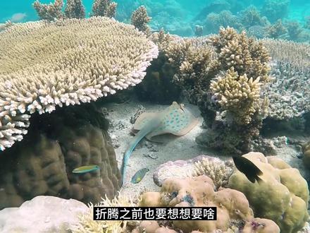 卡片笔记降智?少楠告诉你Flomo如何用最合理
💌Hello,亲爱的粉丝们,我是你们的小卡,这次与各位分享我对时间与效率管理工具Flomo的使用心得,并且我有幸与少楠老师进行了深度的交流。
在我眼里,Flomo不仅仅是一个记录工具,它同样可以作为一款记录你灵光闪现的瞬间、书中移情入理的归纳,或者你洞察世界那一刹那的感受的工具。然而,将它构建成一个复杂的笔记系统,可能并非我所希望的。
并且,小卡我向大家推荐的不仅仅是Flomo这一款工具,更多的是它带给我们的思考:工具只是手段,它能帮助我们更好地实现目标,但追求成为某一领域的专家,需要的是我们内在的精神驱动,是我们对这个领域的深入研究和持续的思考。
所以,不要纠结在众多的笔记方法和工具之间,找到适合自己的,舒适的,高效的方法就好。用心去思考,去体验,去实践,比盲目追求更高级的工具更加重要。
💗在本次分享中,你有什么新的收获吗?或者有哪些工具你觉得特别好用呢?期待你在评论区与我分享你的体验或者想法!
#知识分享 #卡片笔记 #卡片笔记法 #笔记工具 #学习心得 #经验分享