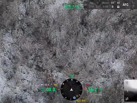 1.21第一次放狗,花姐骚路真的稳,这么远都没跟丢#西北刀客黄白花