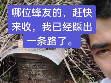 伪装太公蜜!#望远镜找蜂
