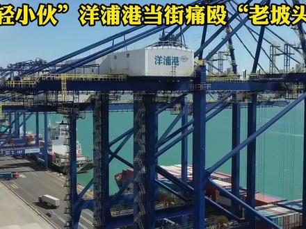 洋浦港开始发力 新加坡躺赚日子到头了? #硬核深度计划 #零基础看懂全球 #国际